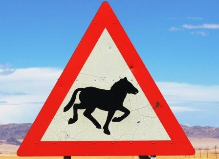 Wild Horses of the Namib ahead